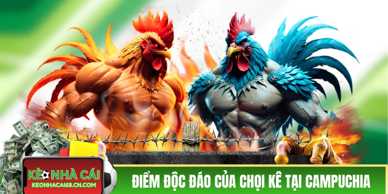 Đá Gà Campuchia - Kịch Tính Cùng Các Pha Ra Đòn Của Chiến Kê 3 Các điểm độc đáo của chọi kê tại Campuchia