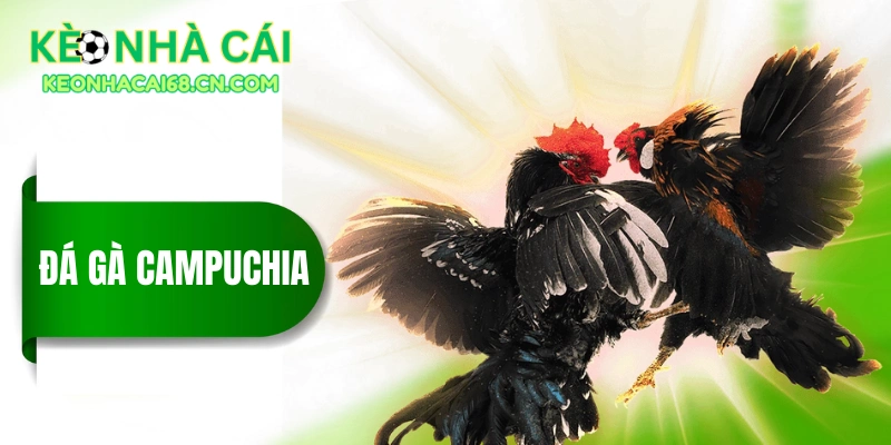 da ga campuchia thumbnail