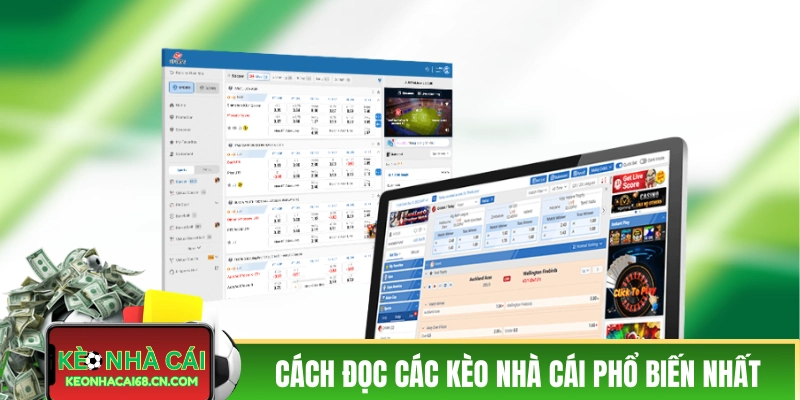 Kèo Nhà Cái Hôm Nay: Cách Đọc Chuẩn Xác Trước Khi Xuống Tiền 3 Cách đọc các kèo nhà cái hôm nay phổ biến nhất