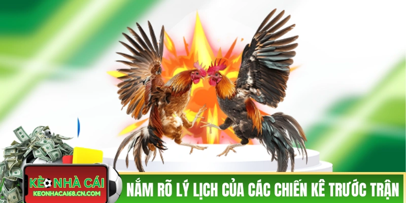 Mẹo Cược Đá Gà - 3 Chiến Thuật Hiệu Quả Trong Thực Tế 2 Nắm rõ lý lịch của các chiến kê trước trận