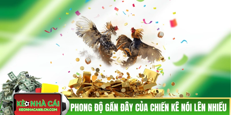 Mẹo Cược Đá Gà - 3 Chiến Thuật Hiệu Quả Trong Thực Tế 3 Phong độ gần đây của chiến kê nói lên nhiều điều