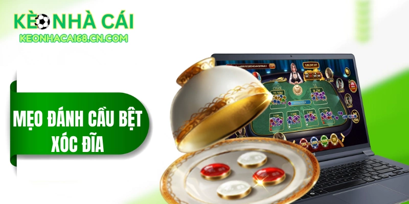 meo danh cau bet xoc dia thumbnail