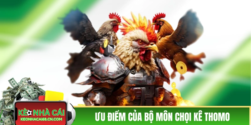 Trực Tiếp Đá Gà Thomo: Sân Chơi Của Chiến Kê Tài Năng 4 Ưu điểm độc nhất của bộ môn chọi kê Thomo